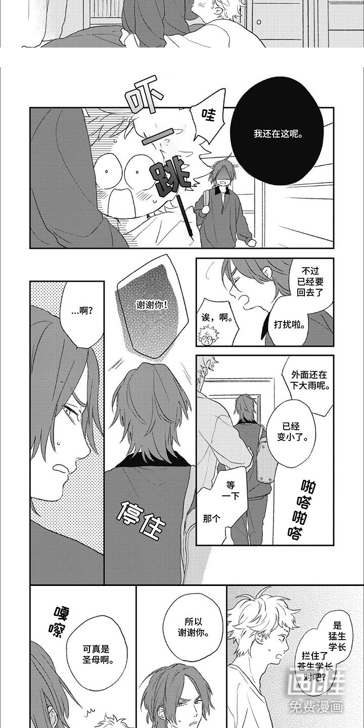 第13章：解释