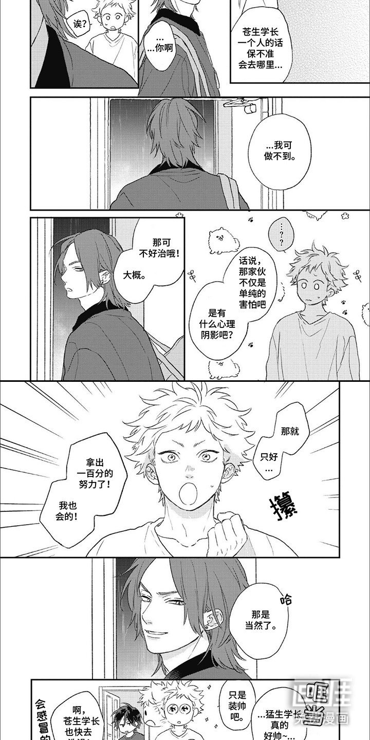 第13章：解释