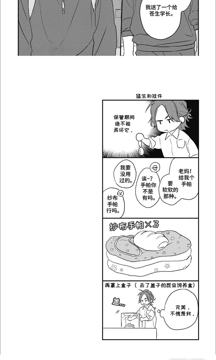 第9章：挂件