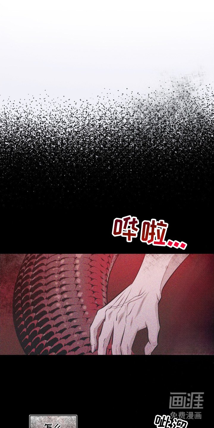 第1章：怪事