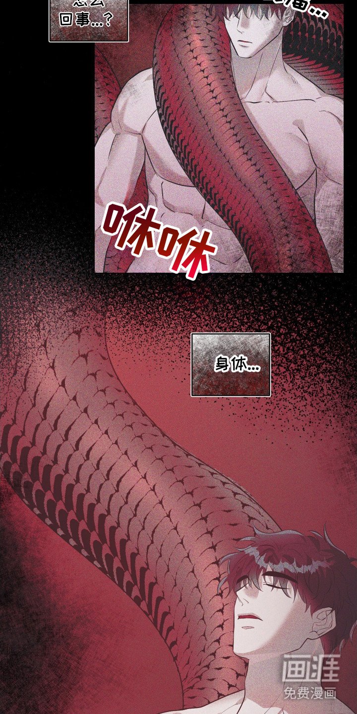 第1章：怪事