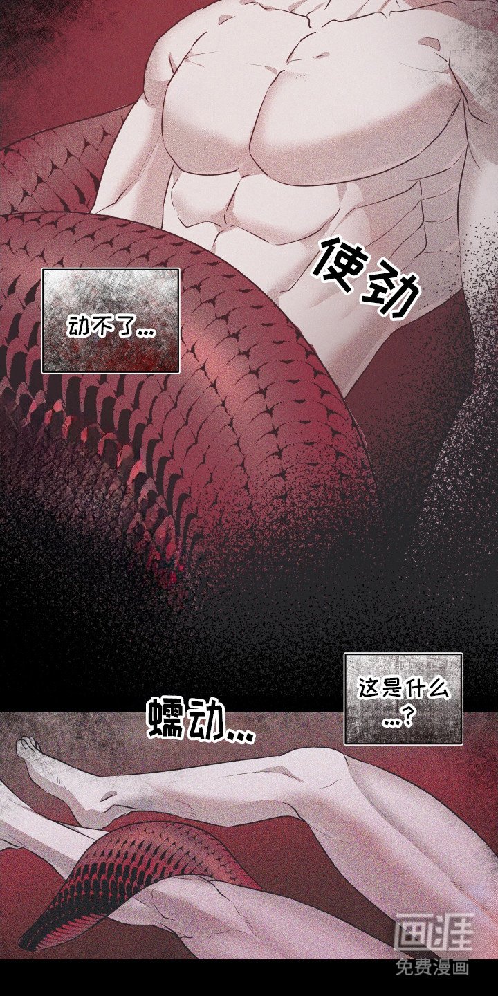 第1章：怪事