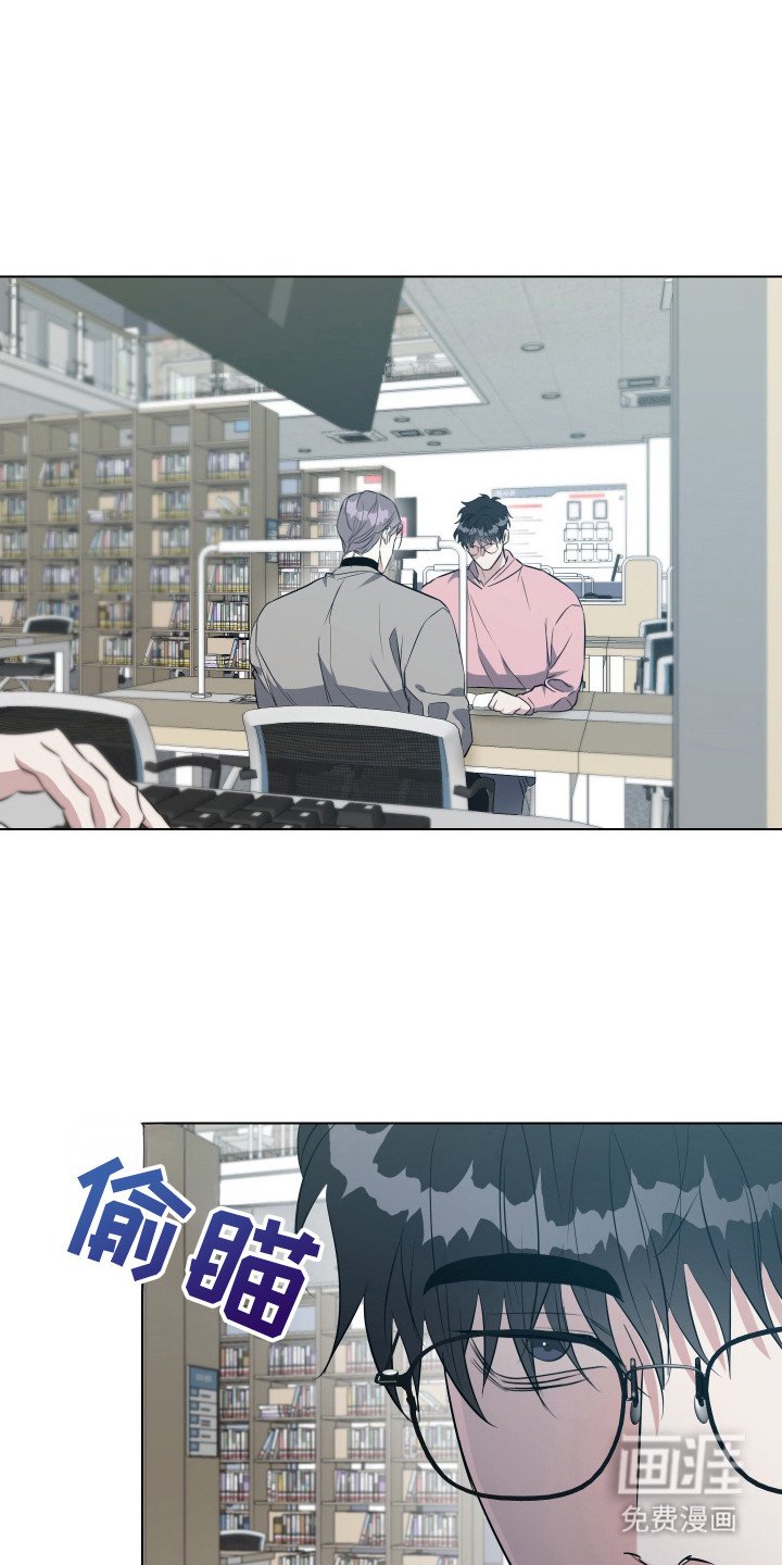 第13章：买药