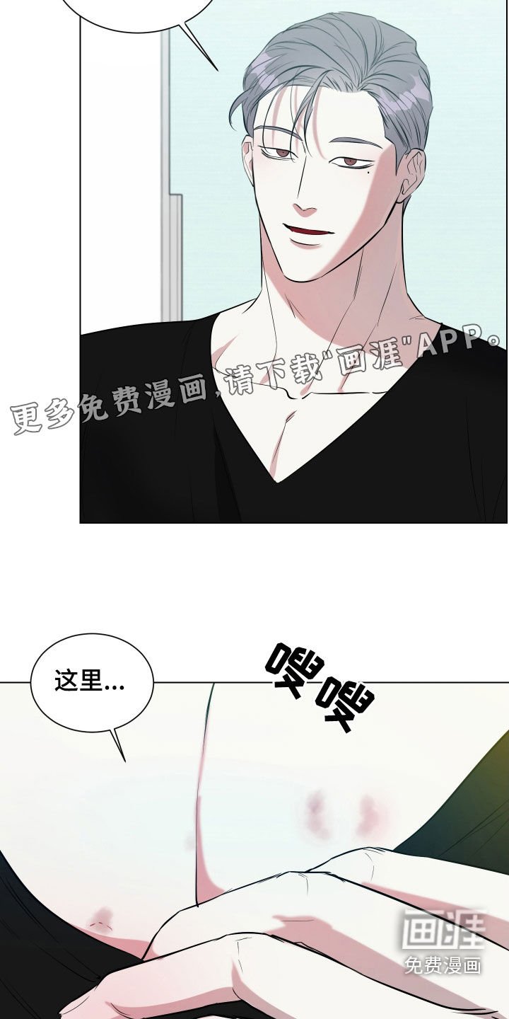 第22章：到底为什么