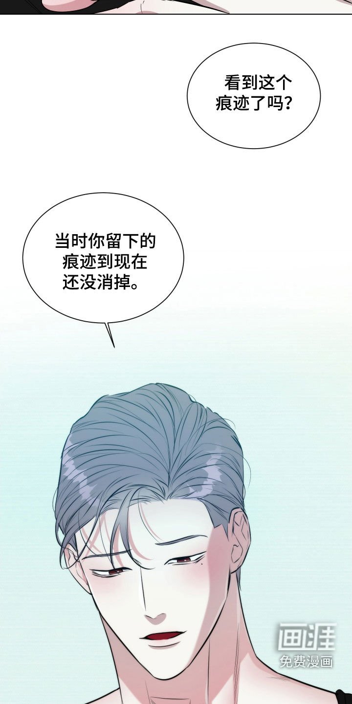 第22章：到底为什么