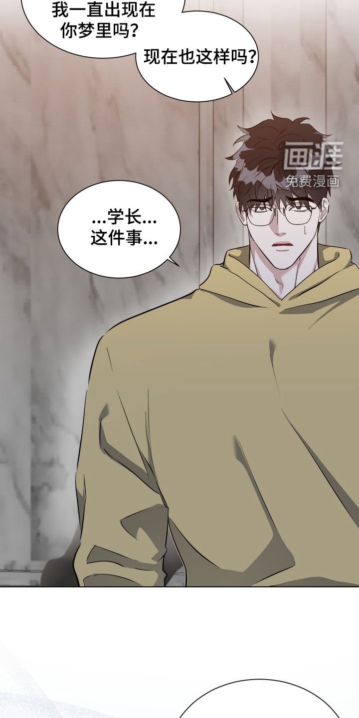 第37章：梦里还有我吗