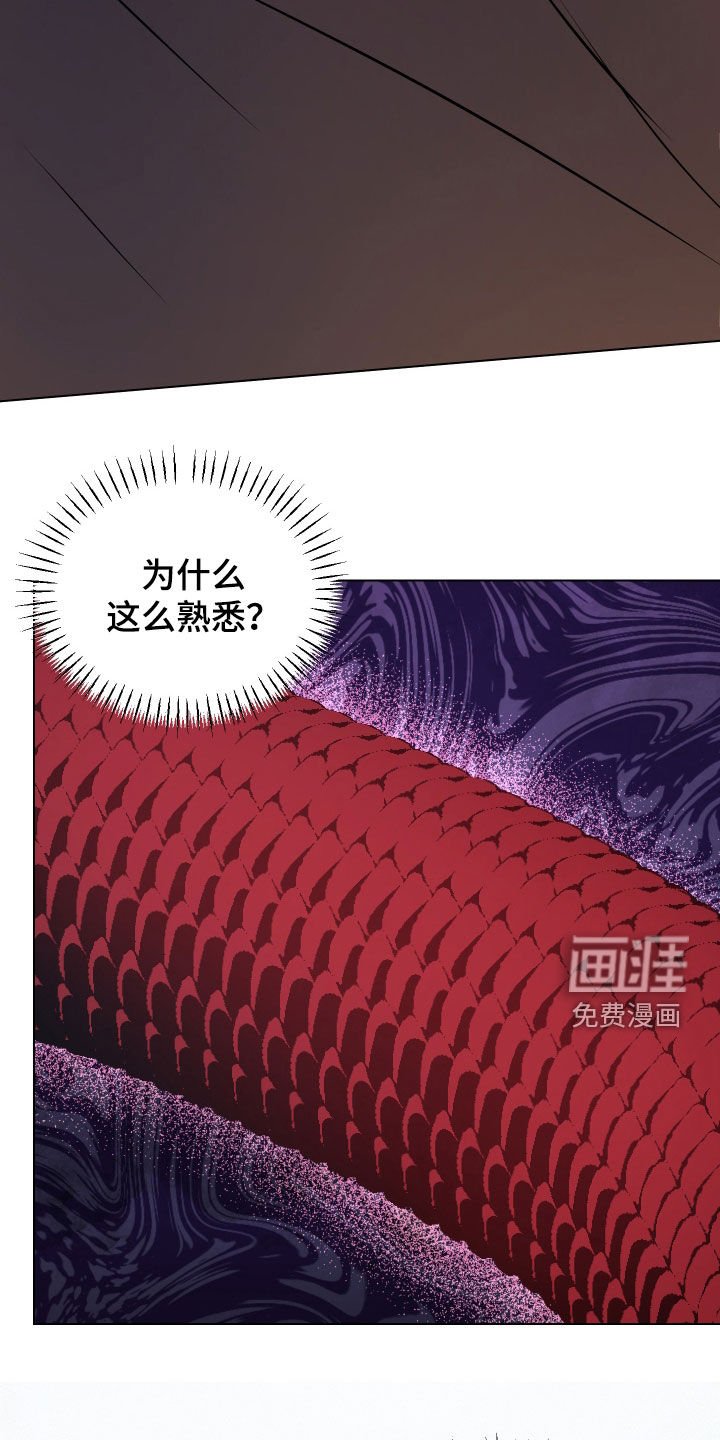 第39章：怀疑
