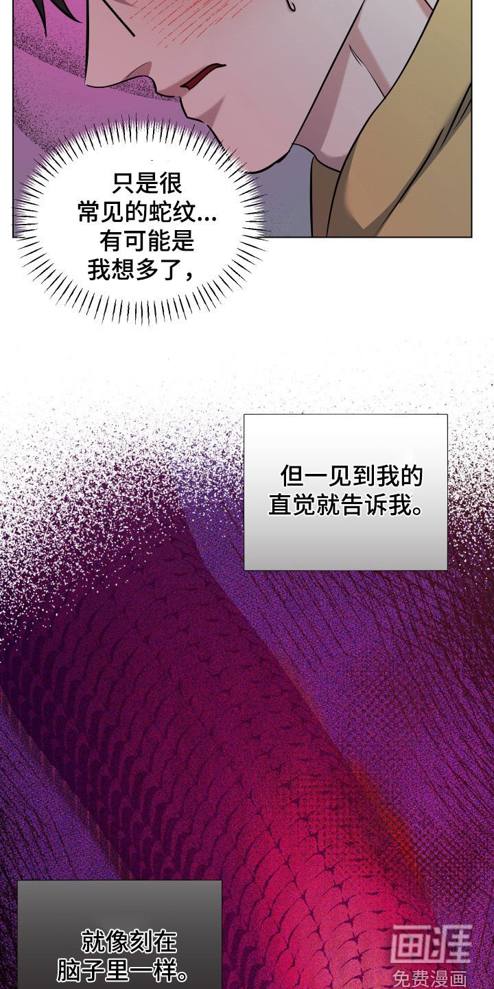 第39章：怀疑