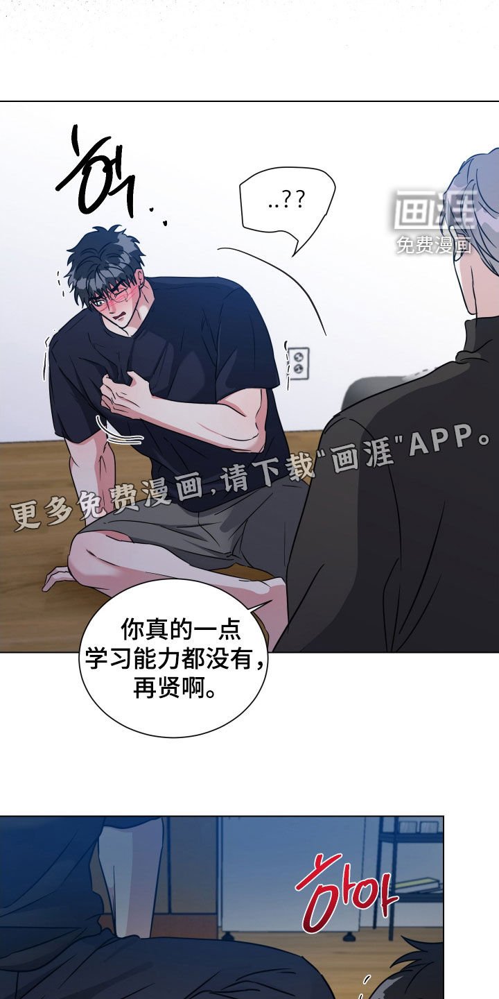 第51章：【第二季】像新婚夫夫