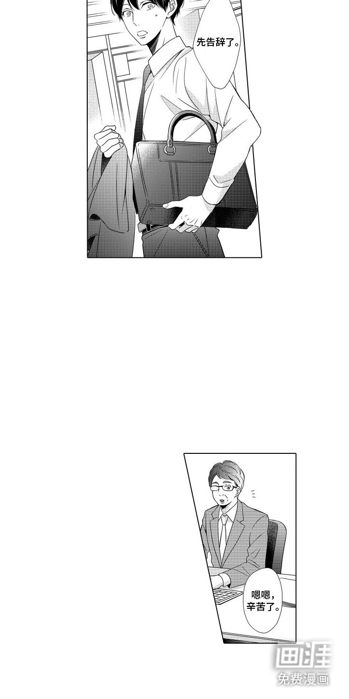 第17章：脸上有光