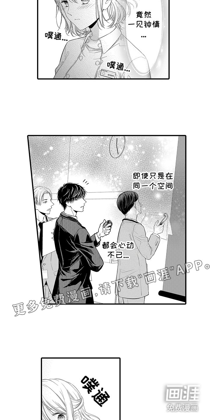 第3章：一见钟情