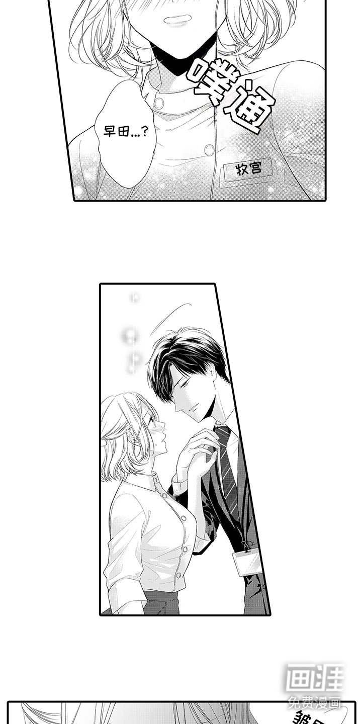 第3章：一见钟情