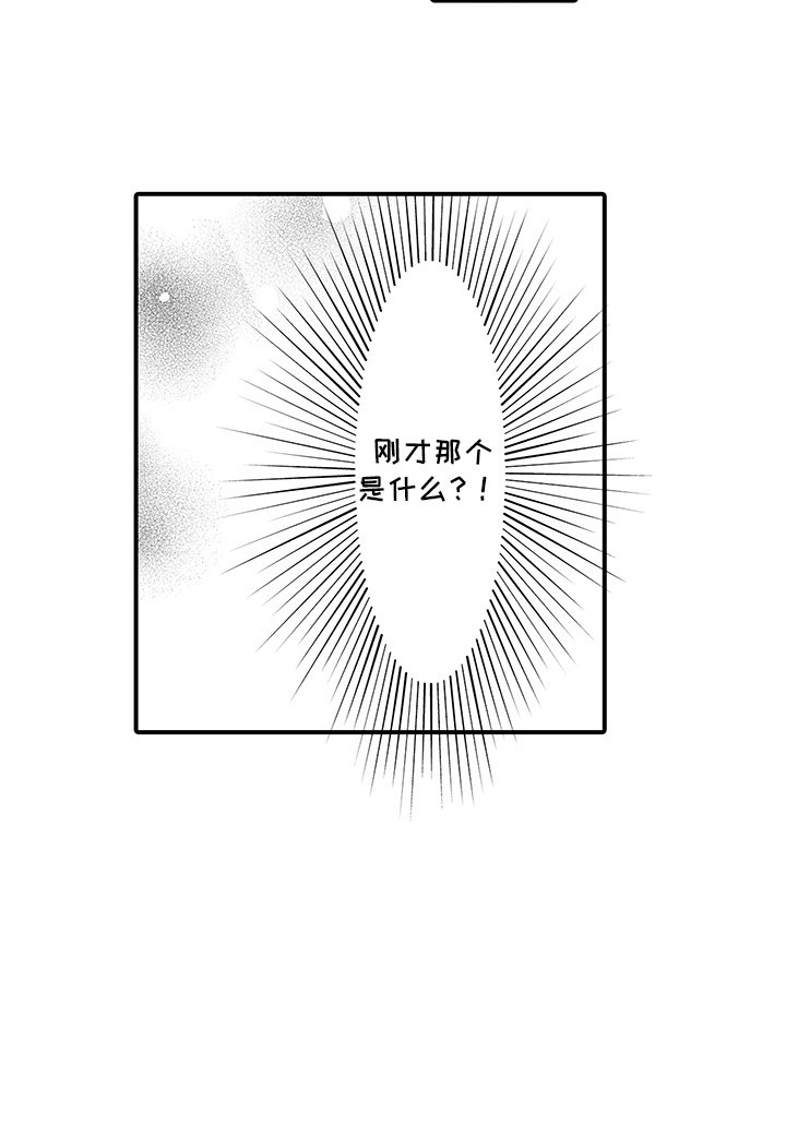 第3章：一见钟情