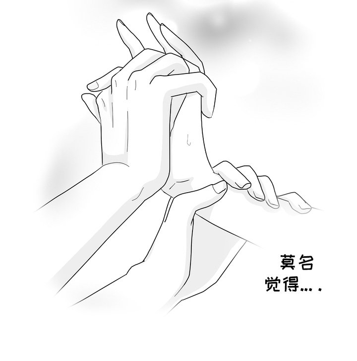 第5章：专业人士