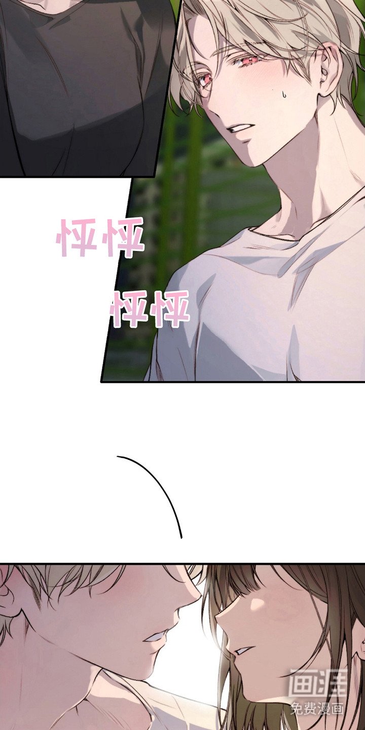 第5章：想要拥有