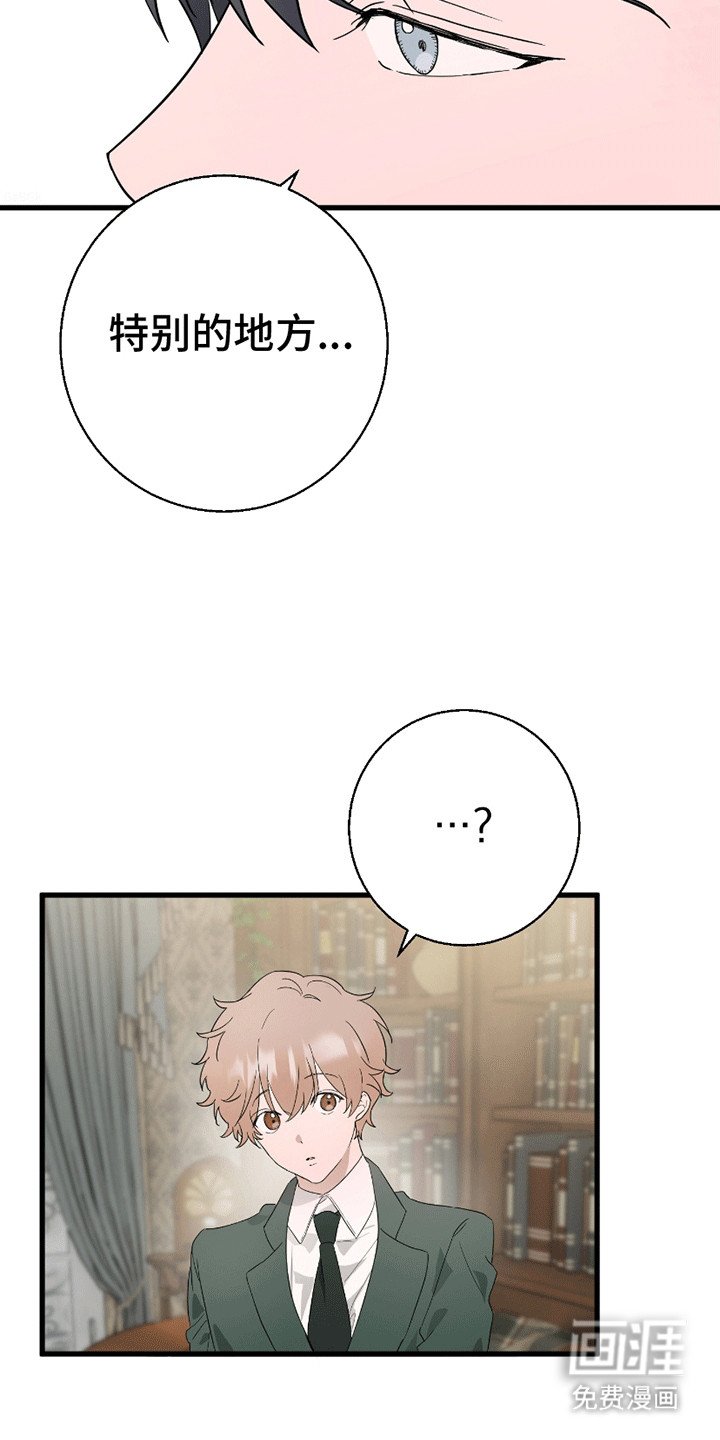 第2章：强行约定