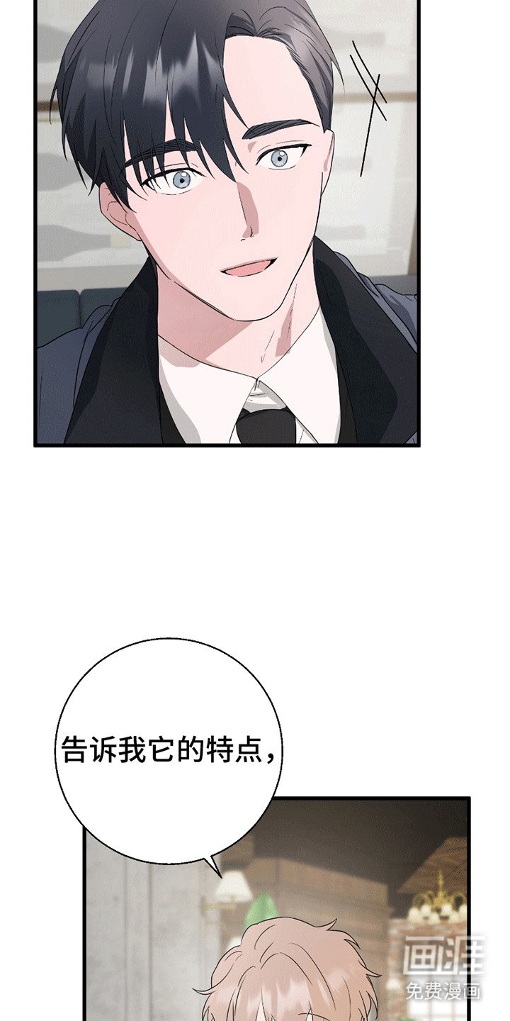 第3章：调查