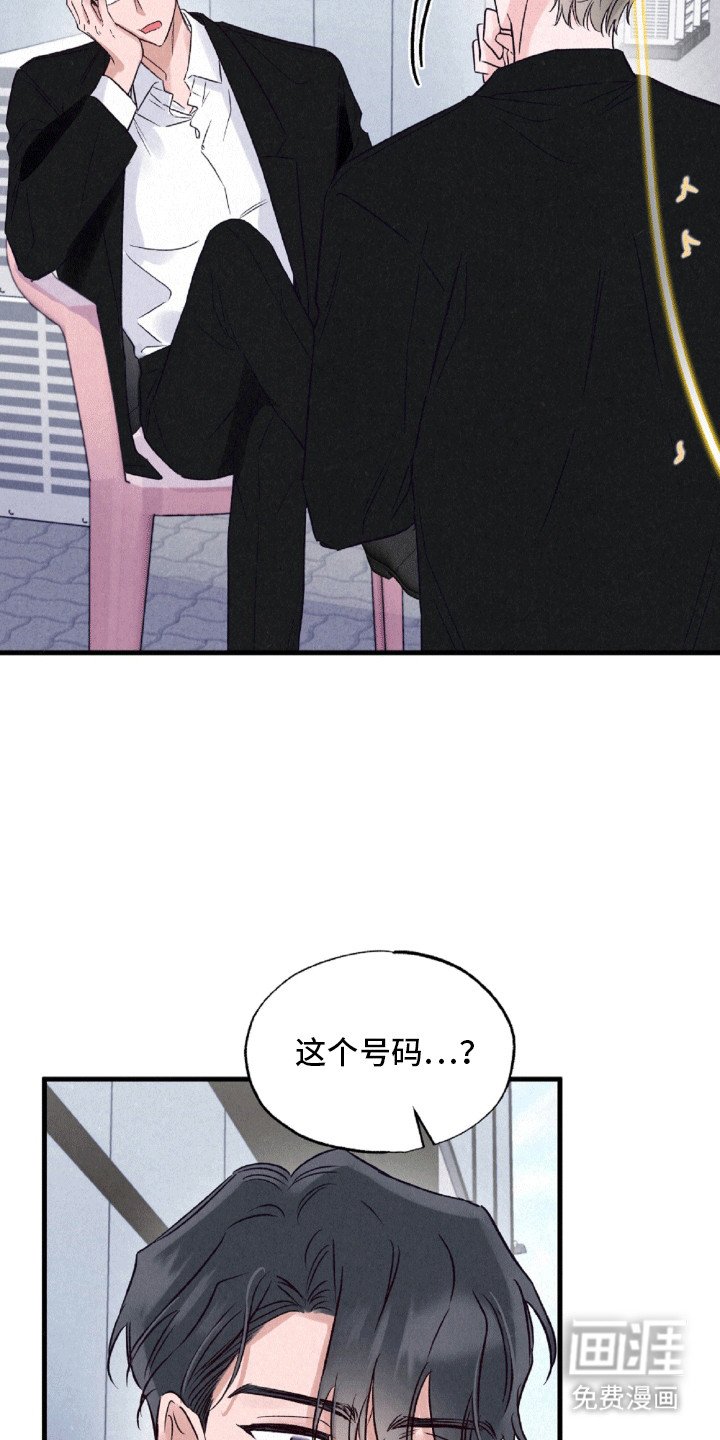 第12章：伪装
