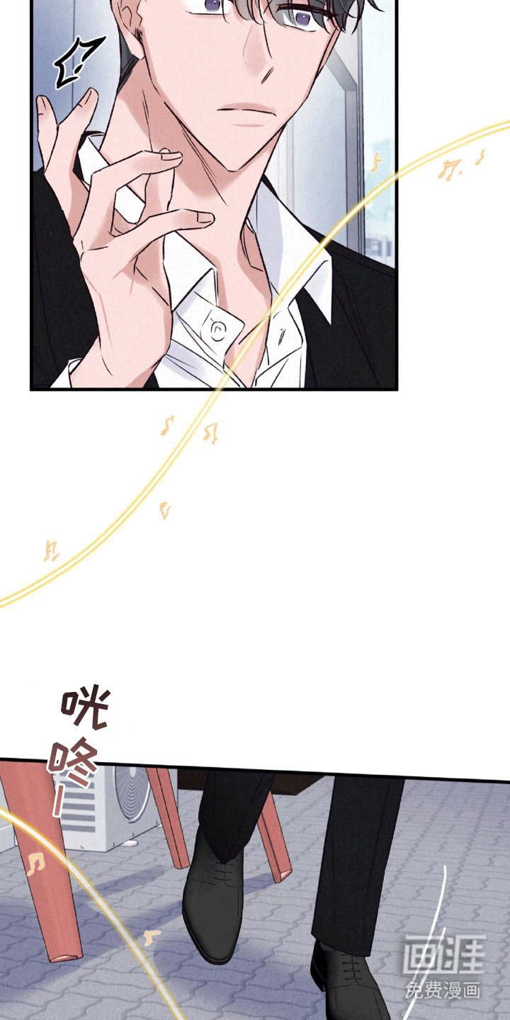 第12章：伪装