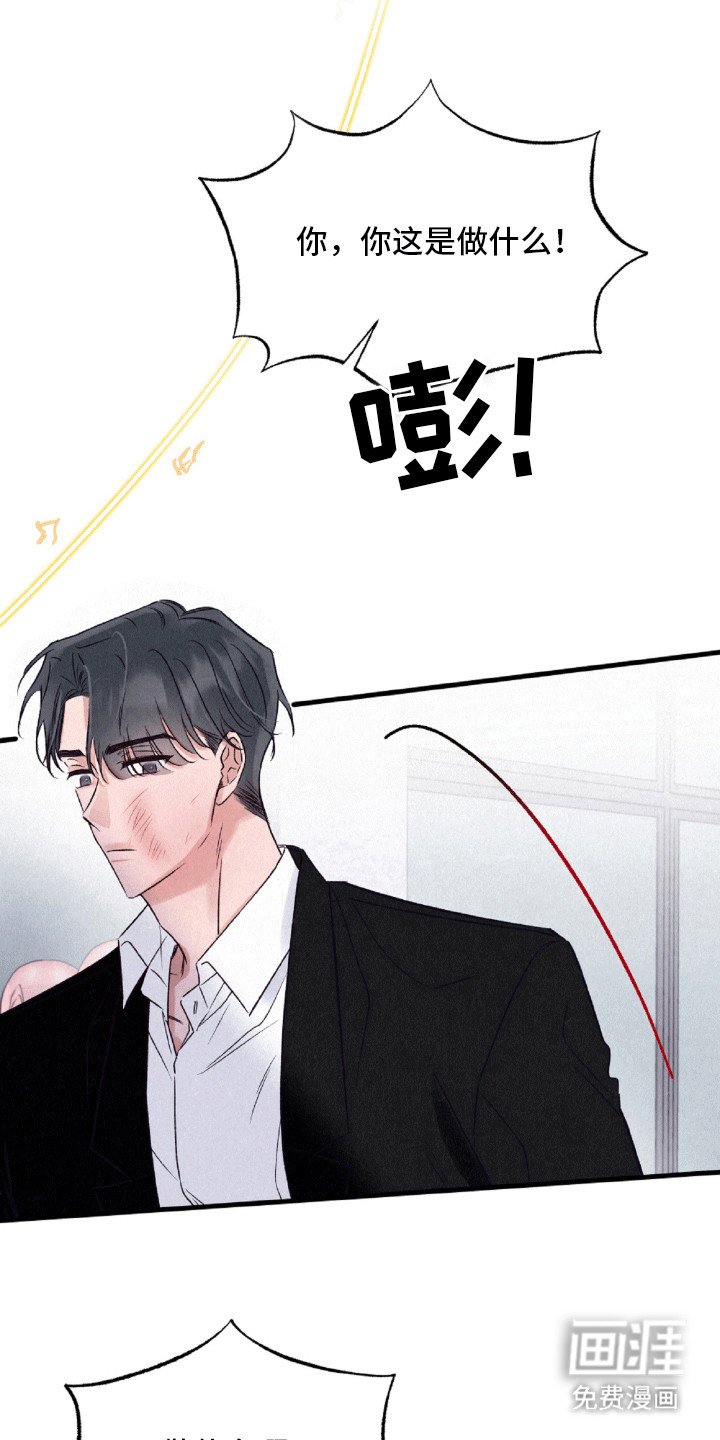 第12章：伪装
