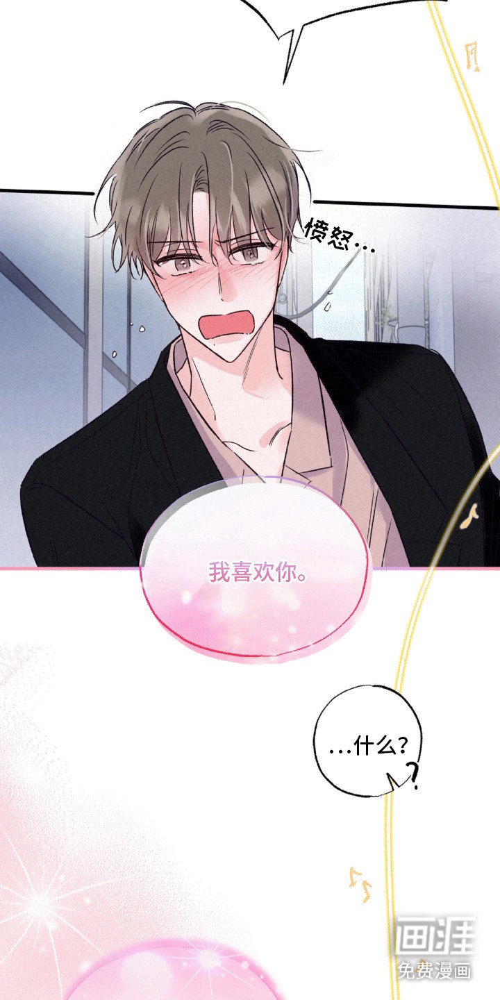 第12章：伪装