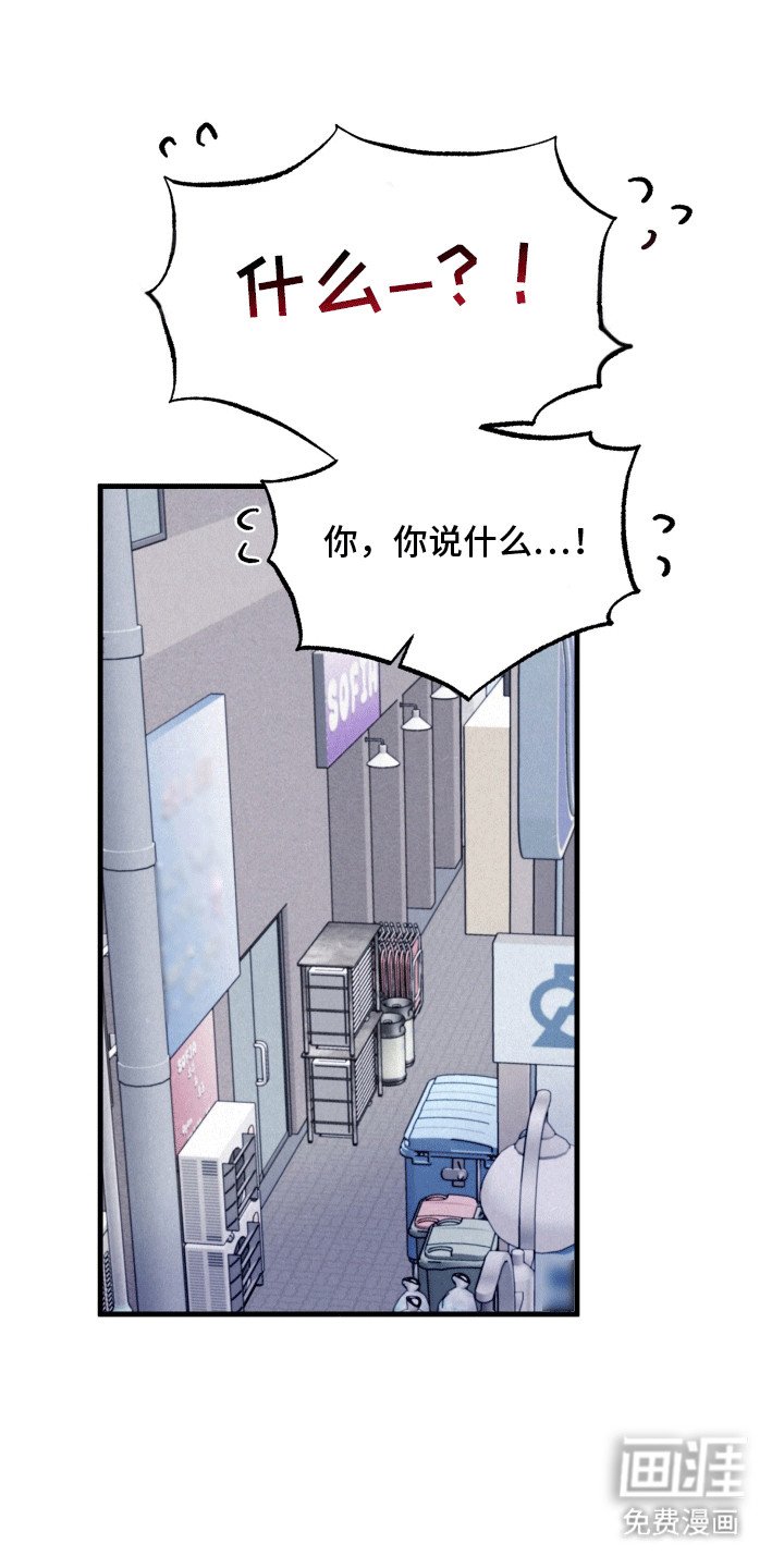第12章：伪装