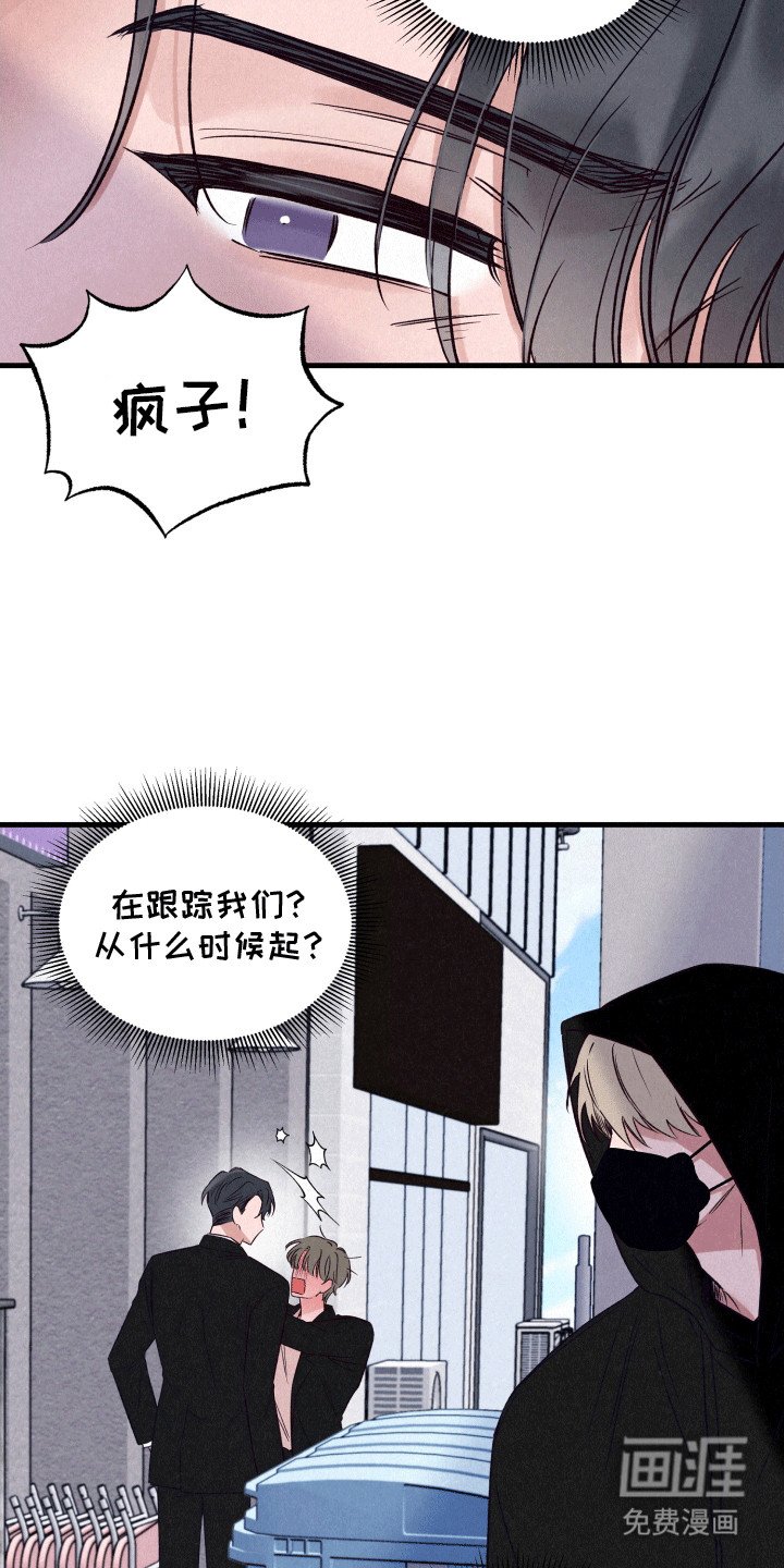 第12章：伪装