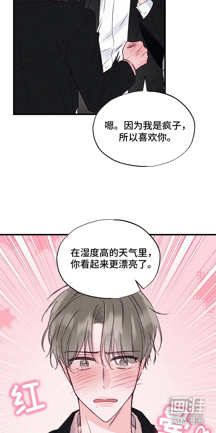 第12章：伪装