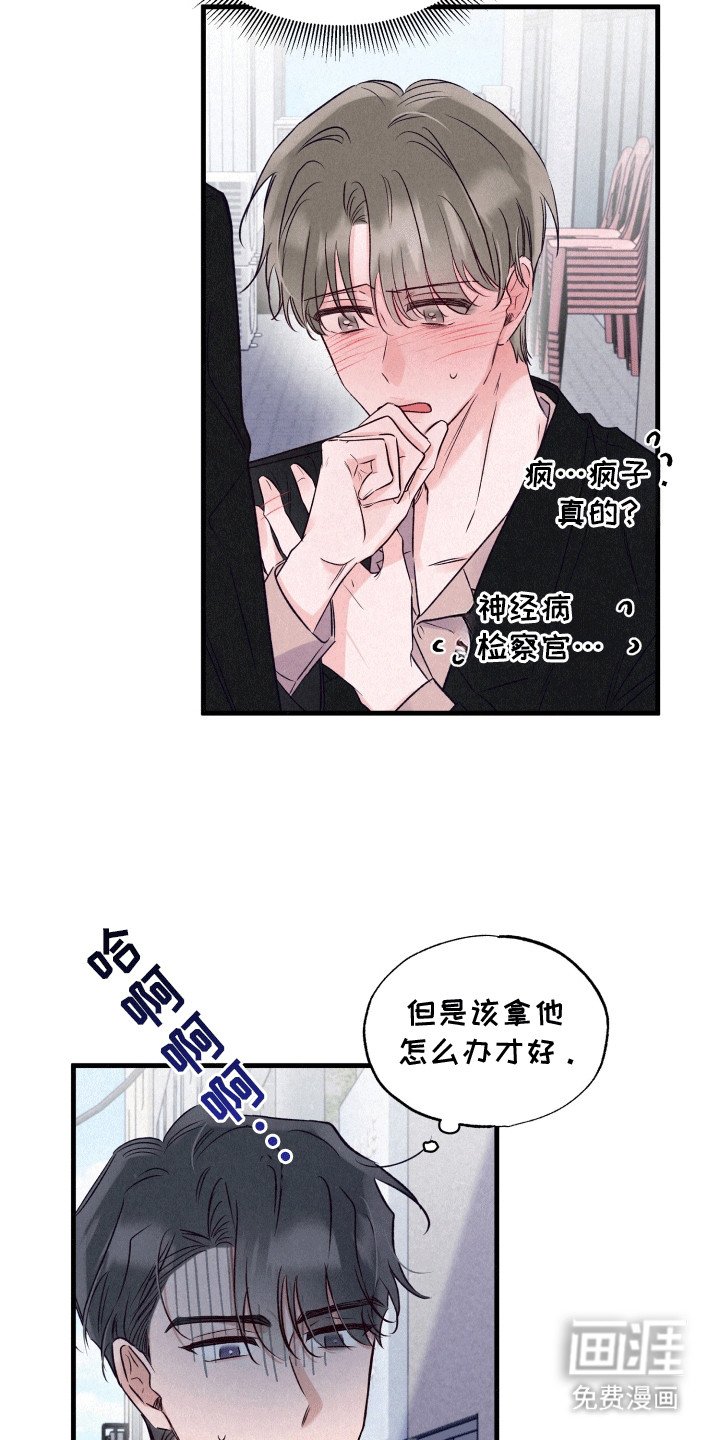 第12章：伪装