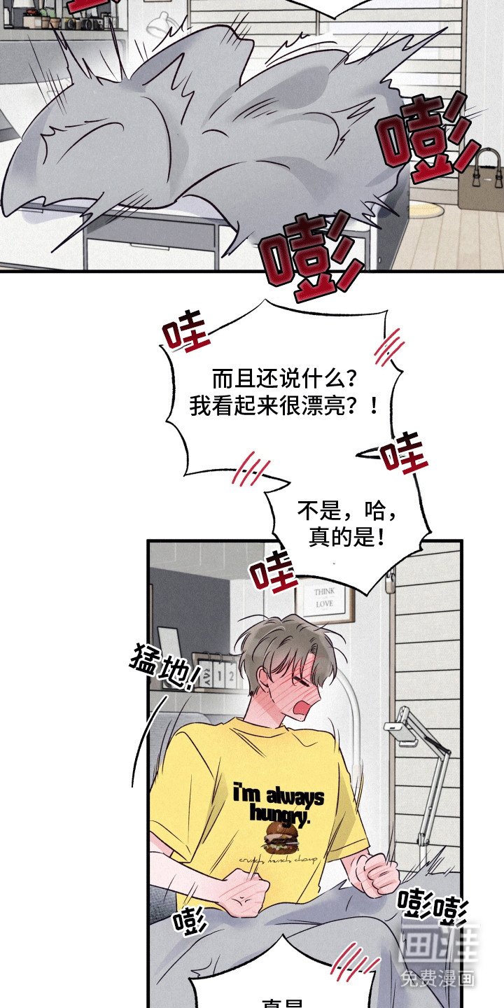 第13章：撩拨