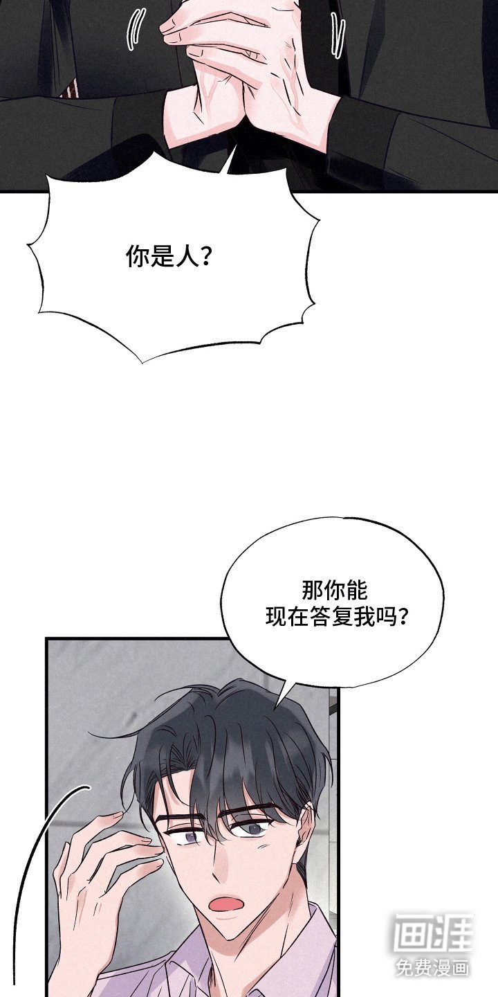 第17章：两条船