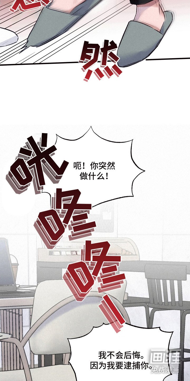第19章：双重调查