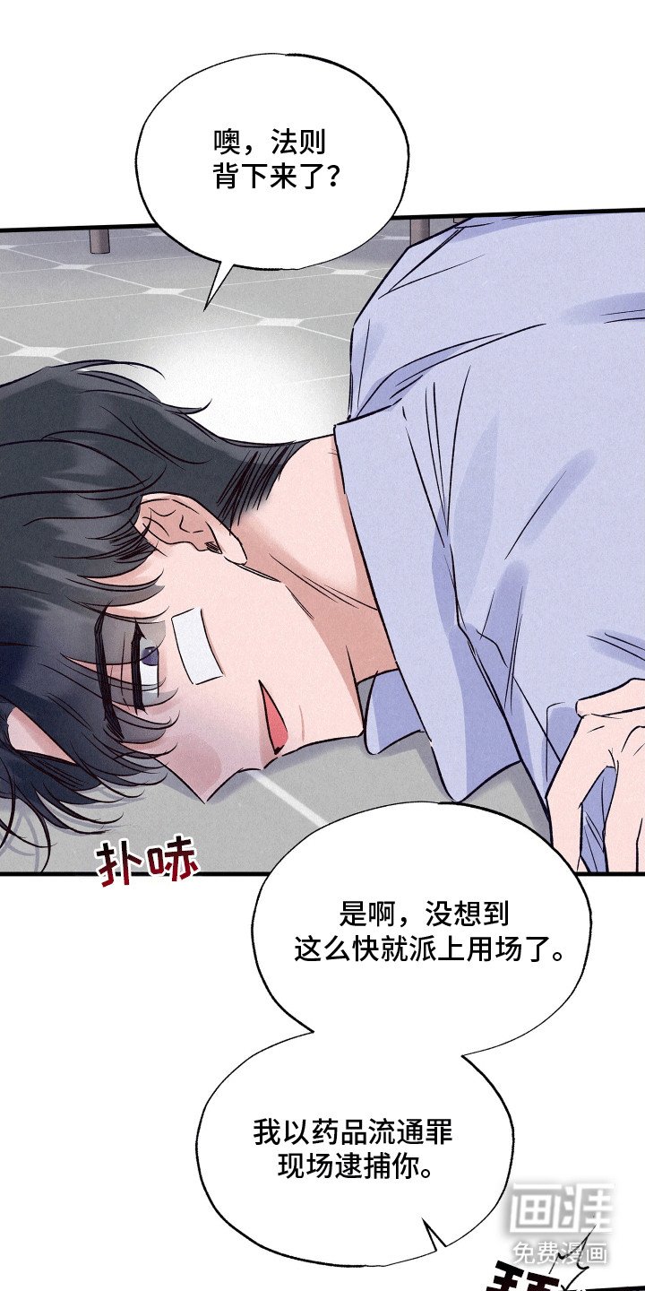 第19章：双重调查