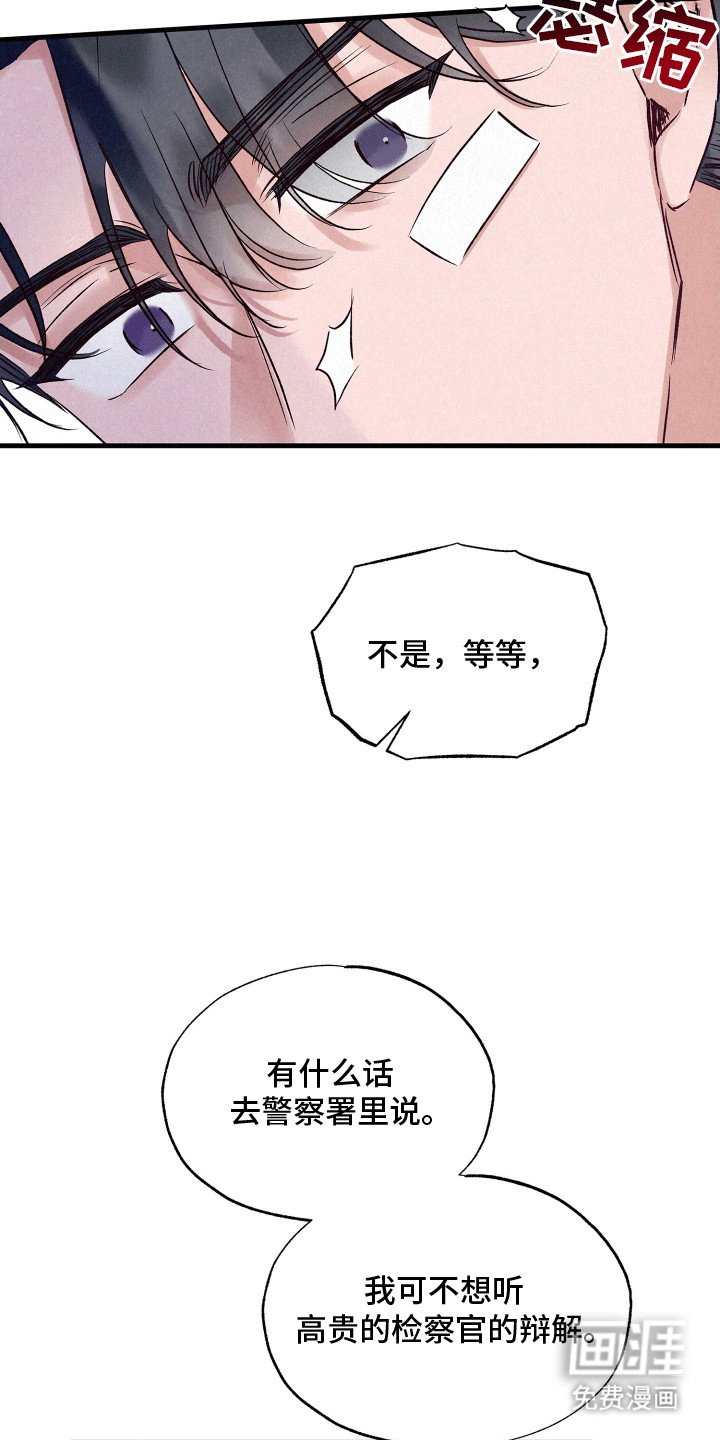 第19章：双重调查