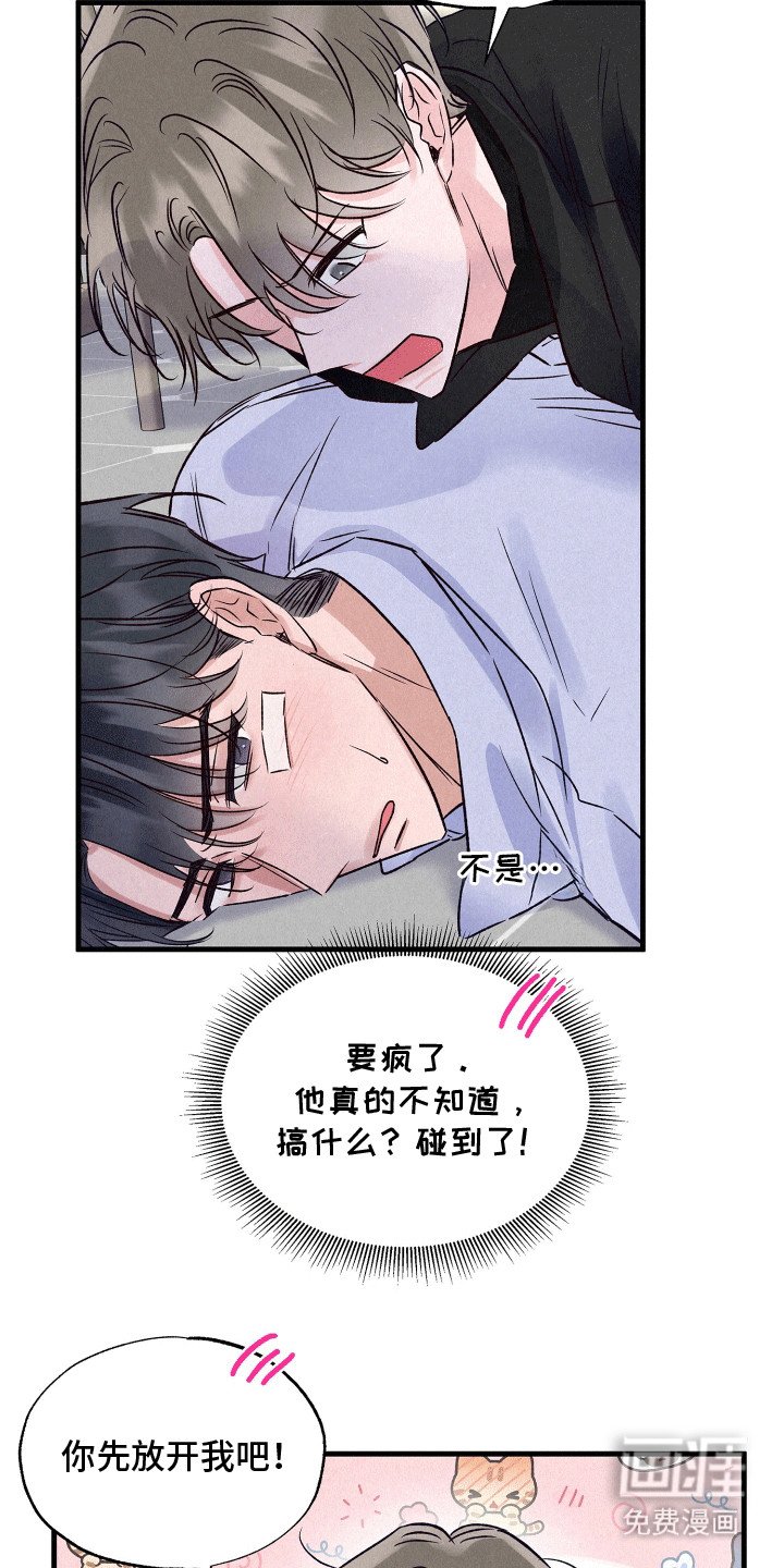 第19章：双重调查