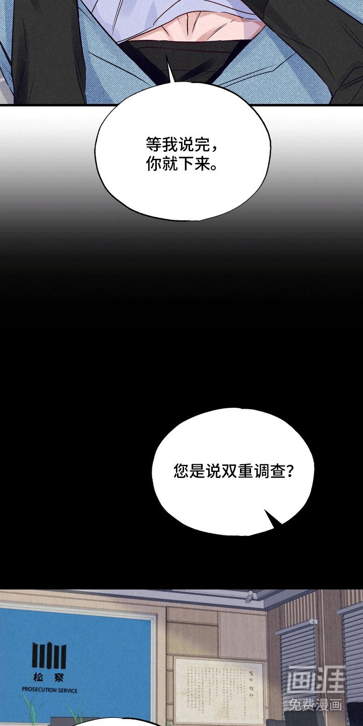 第19章：双重调查