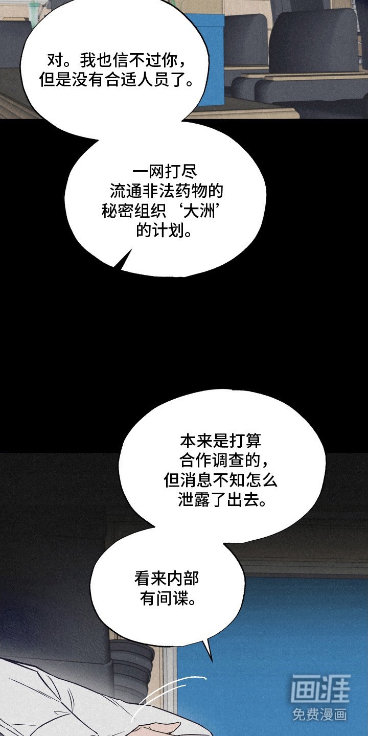 第19章：双重调查