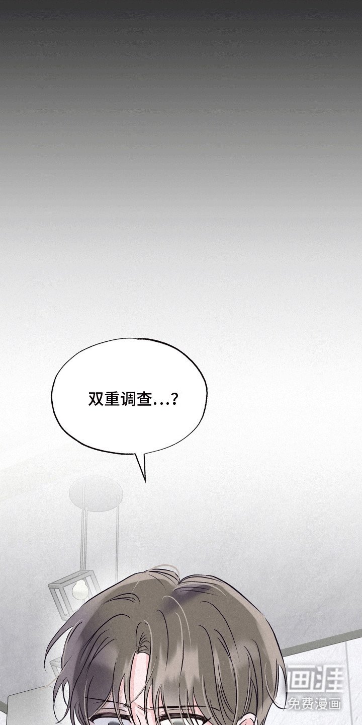 第19章：双重调查