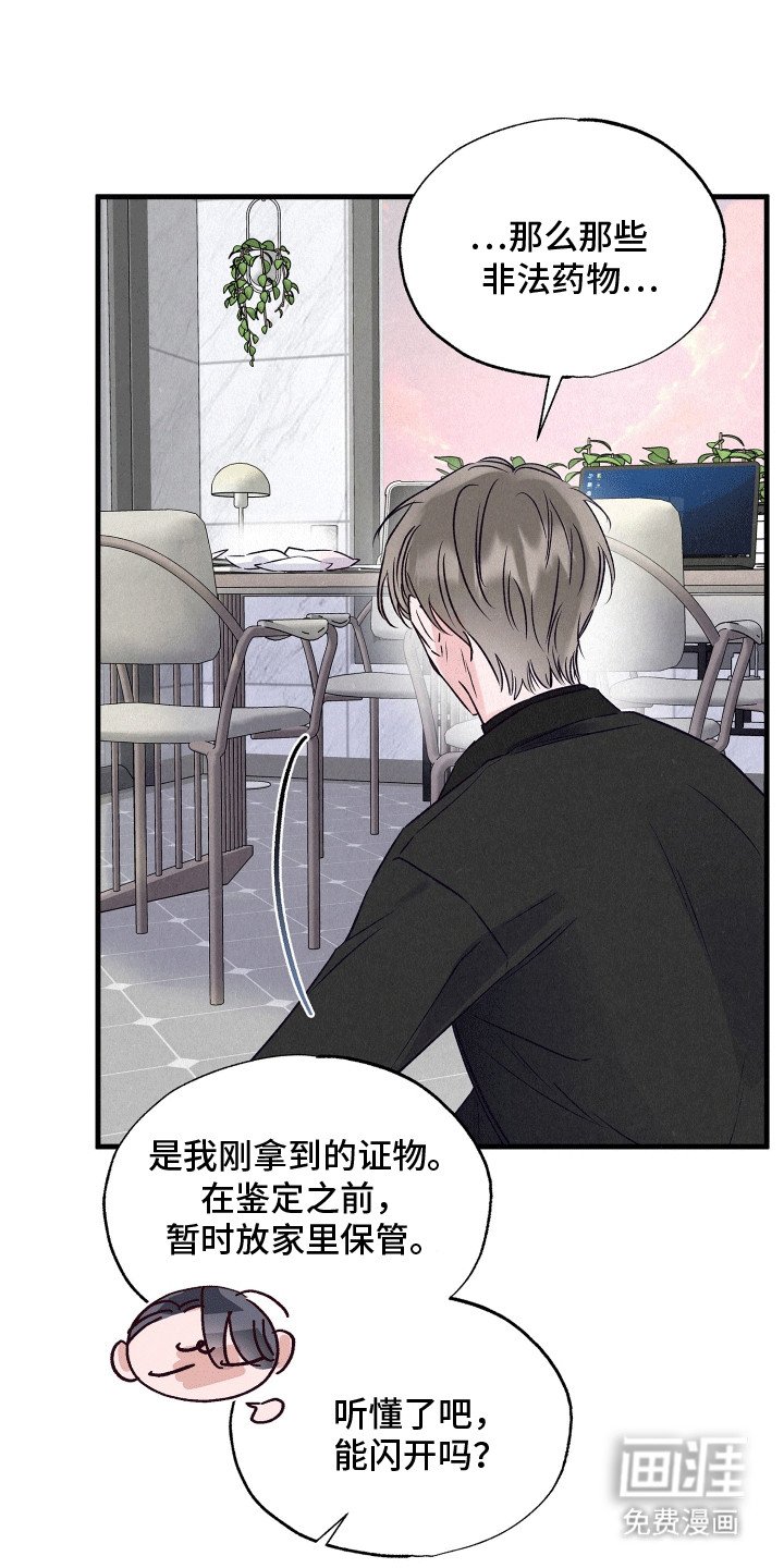第19章：双重调查