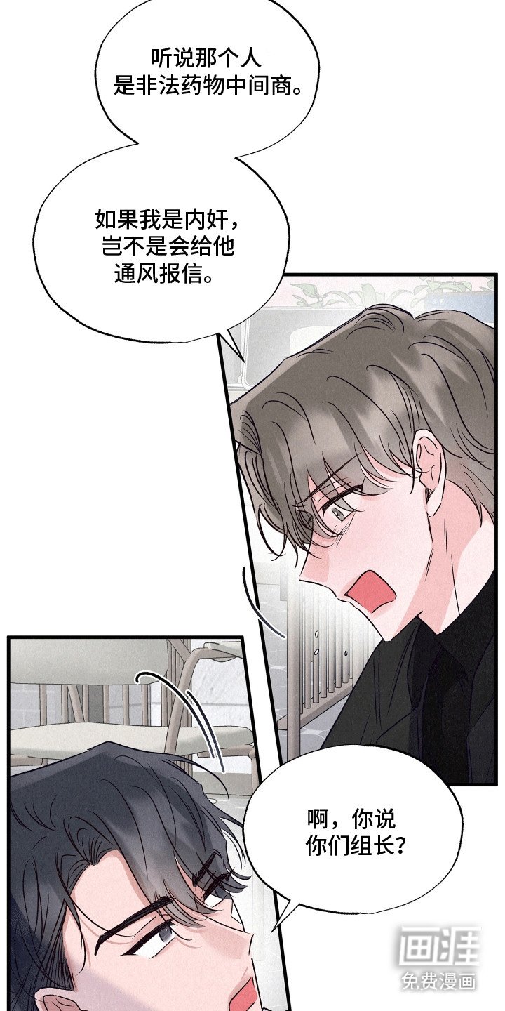 第19章：双重调查