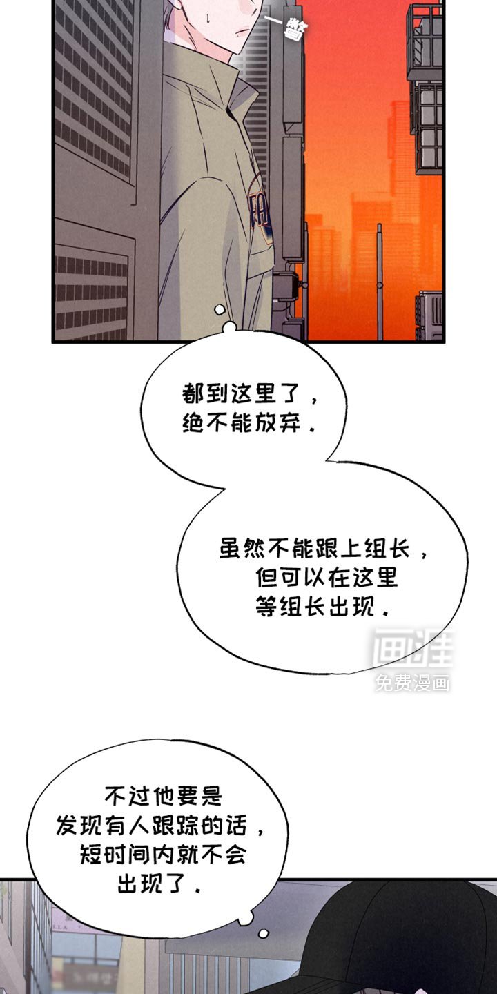 第32章：这个叛徒