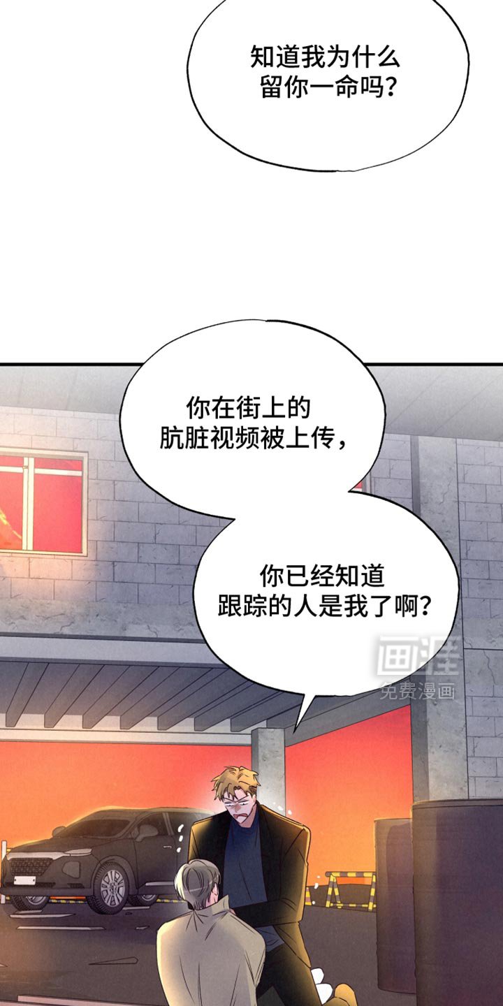 第36章：讨厌