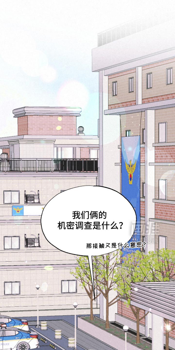 第41章：我喜欢你【完结】