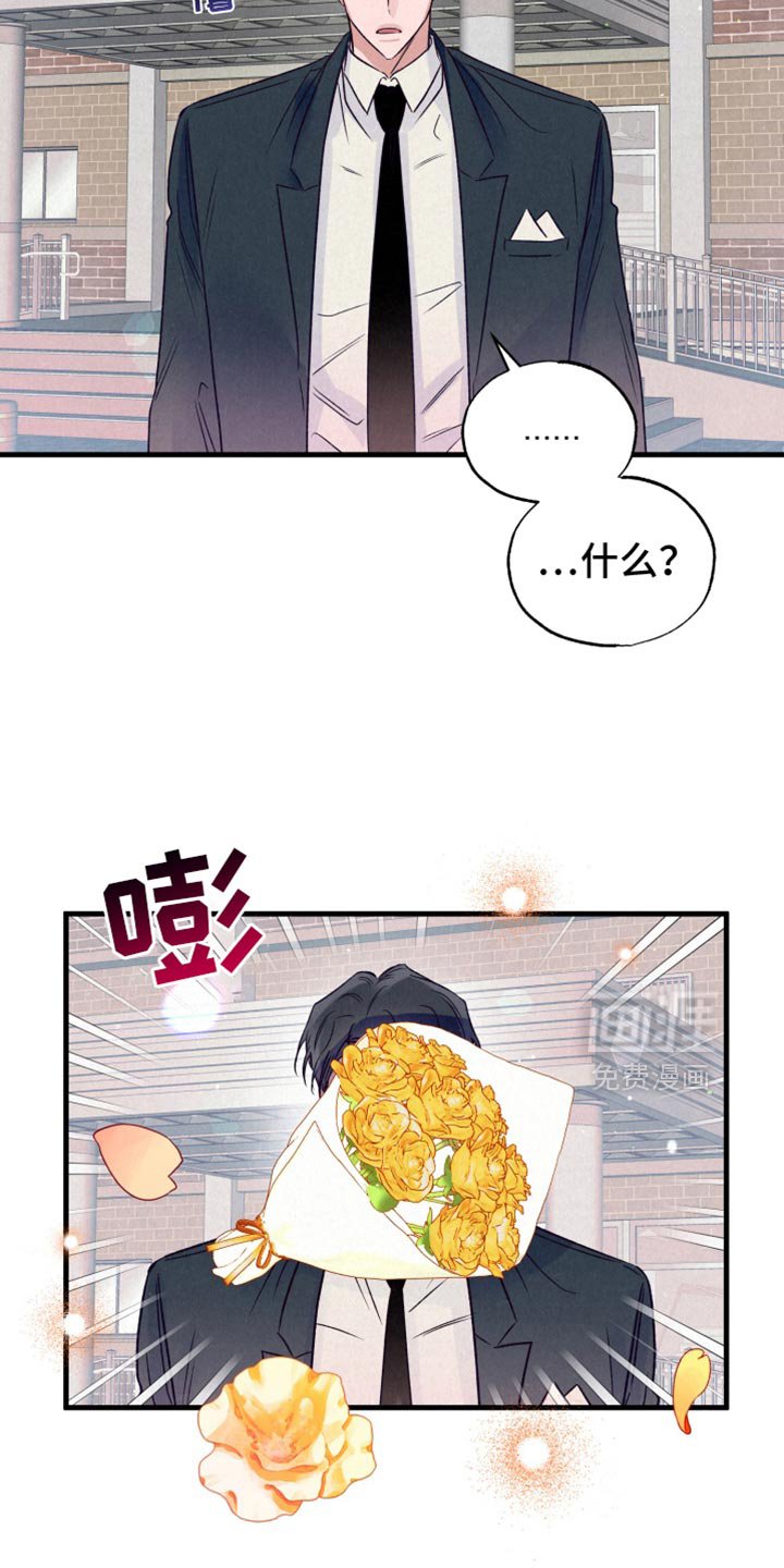第41章：我喜欢你【完结】