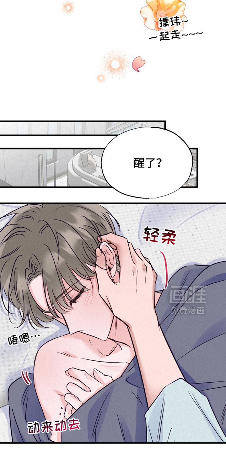 第41章：我喜欢你【完结】