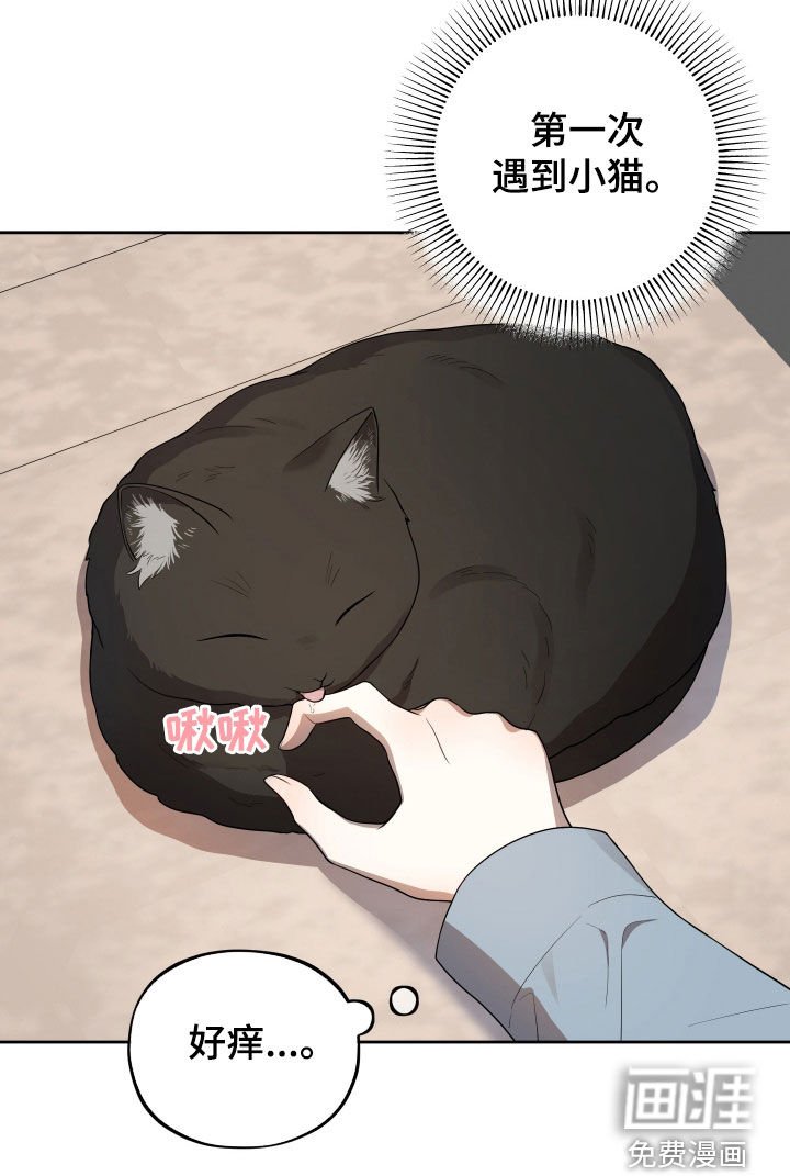 第23章：幸福