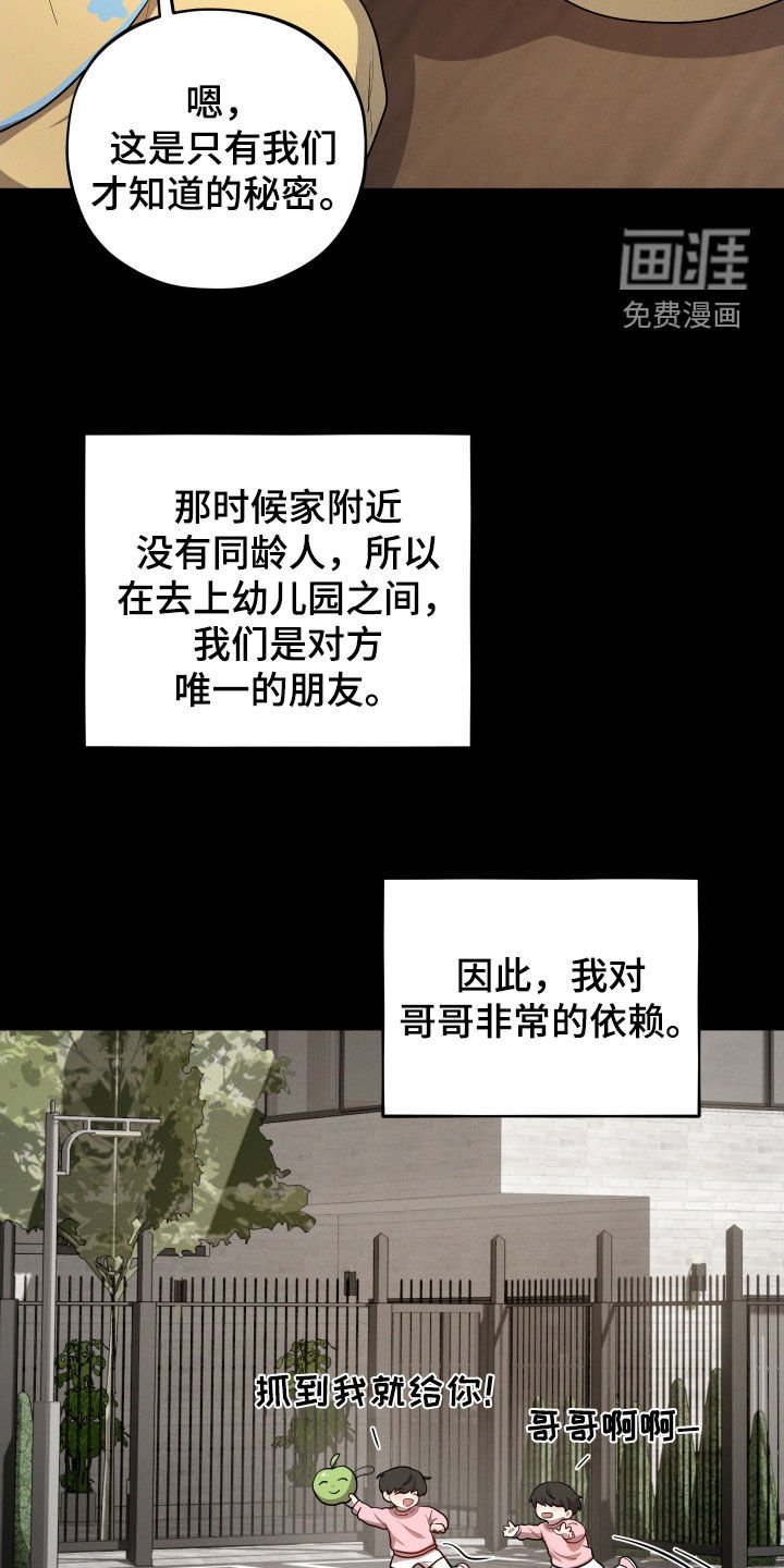 第28章：双胞胎