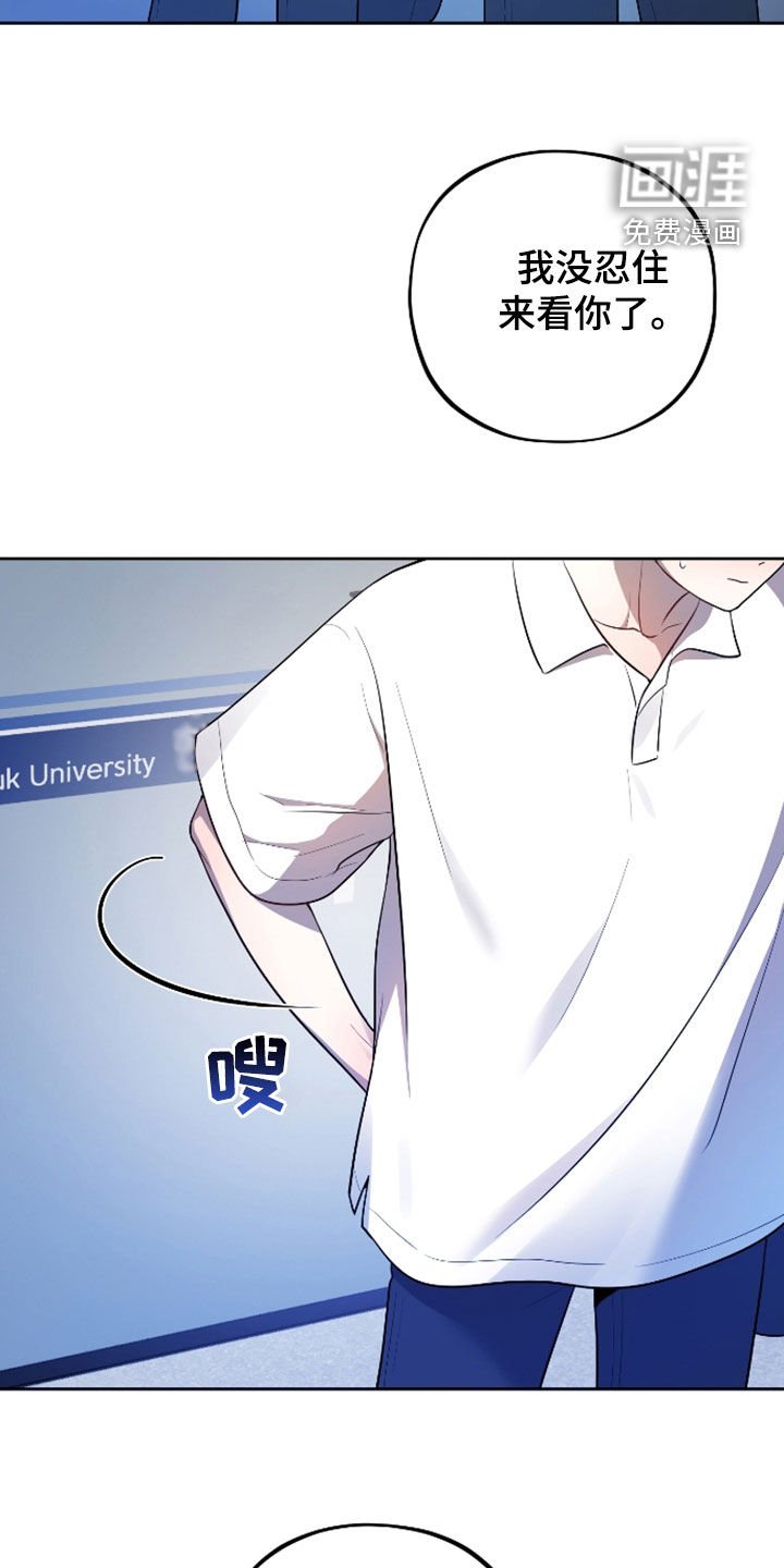 第37章：训练