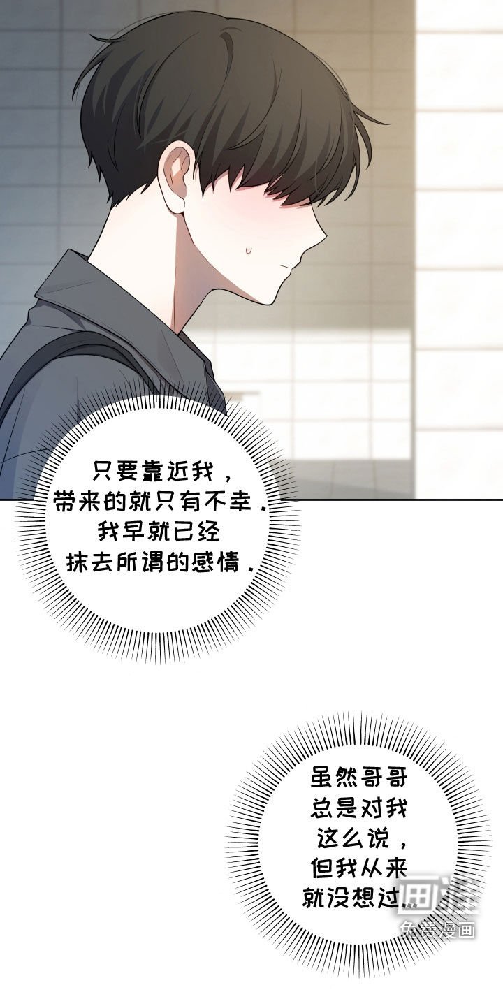 第41章：一见钟情