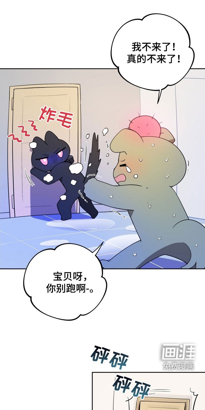 第52章：我喜欢你